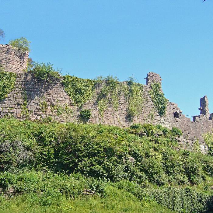 Photo de Enceinte protohistorique du Château du Frankenbourg